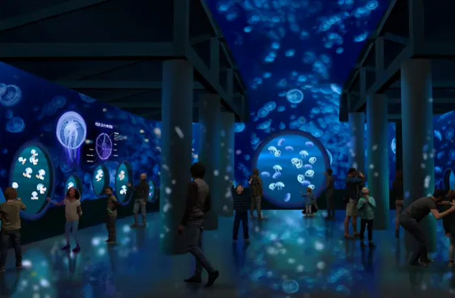 The exhibit will feature a variety of jellyfish species in three separate galleries. (Credit: SeaWorld San Diego)